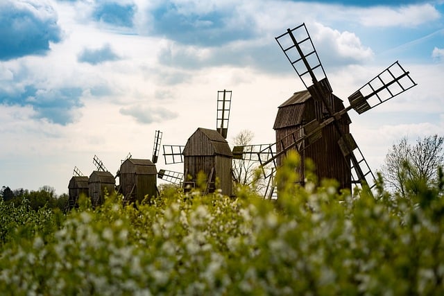 Testamente og arveret: Gode råd til at sikre dine efterladte